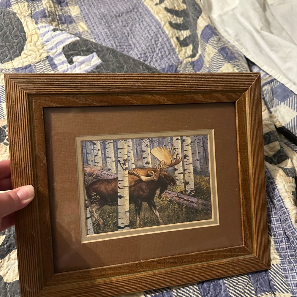Framed Moose and Bear Art Print